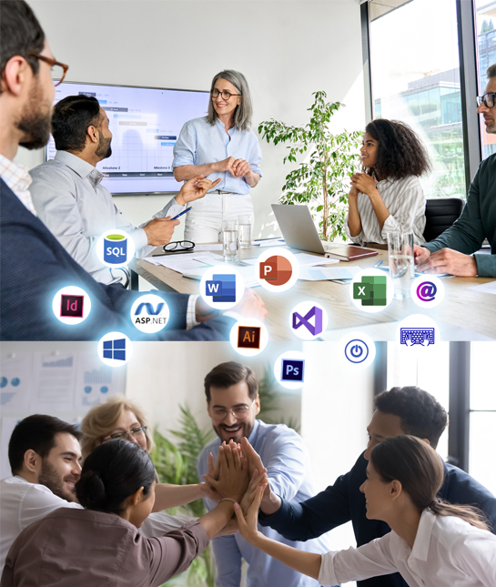 Professional Service